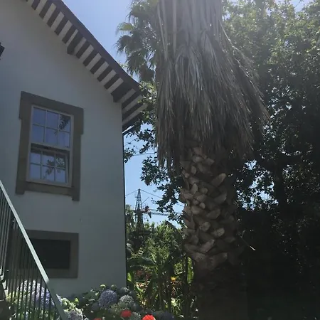Vendégház The Oaks House Foz *